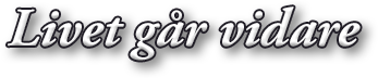 Livet går vidare