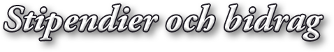Stipendier och bidrag